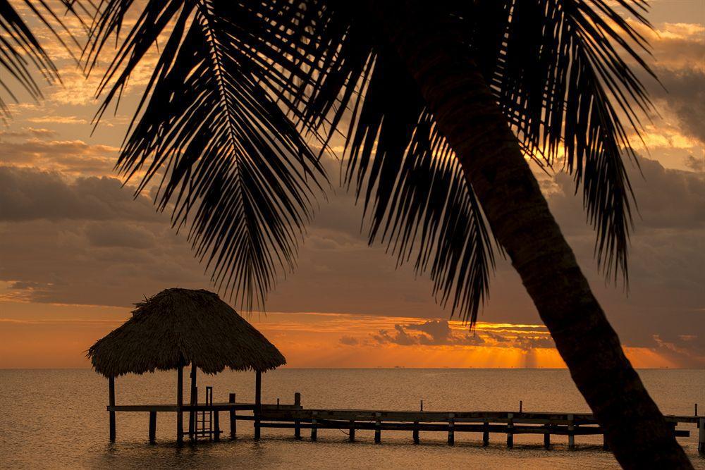 Almond Beach Resort At Jaguar Reef ホプキンズ エクステリア 写真