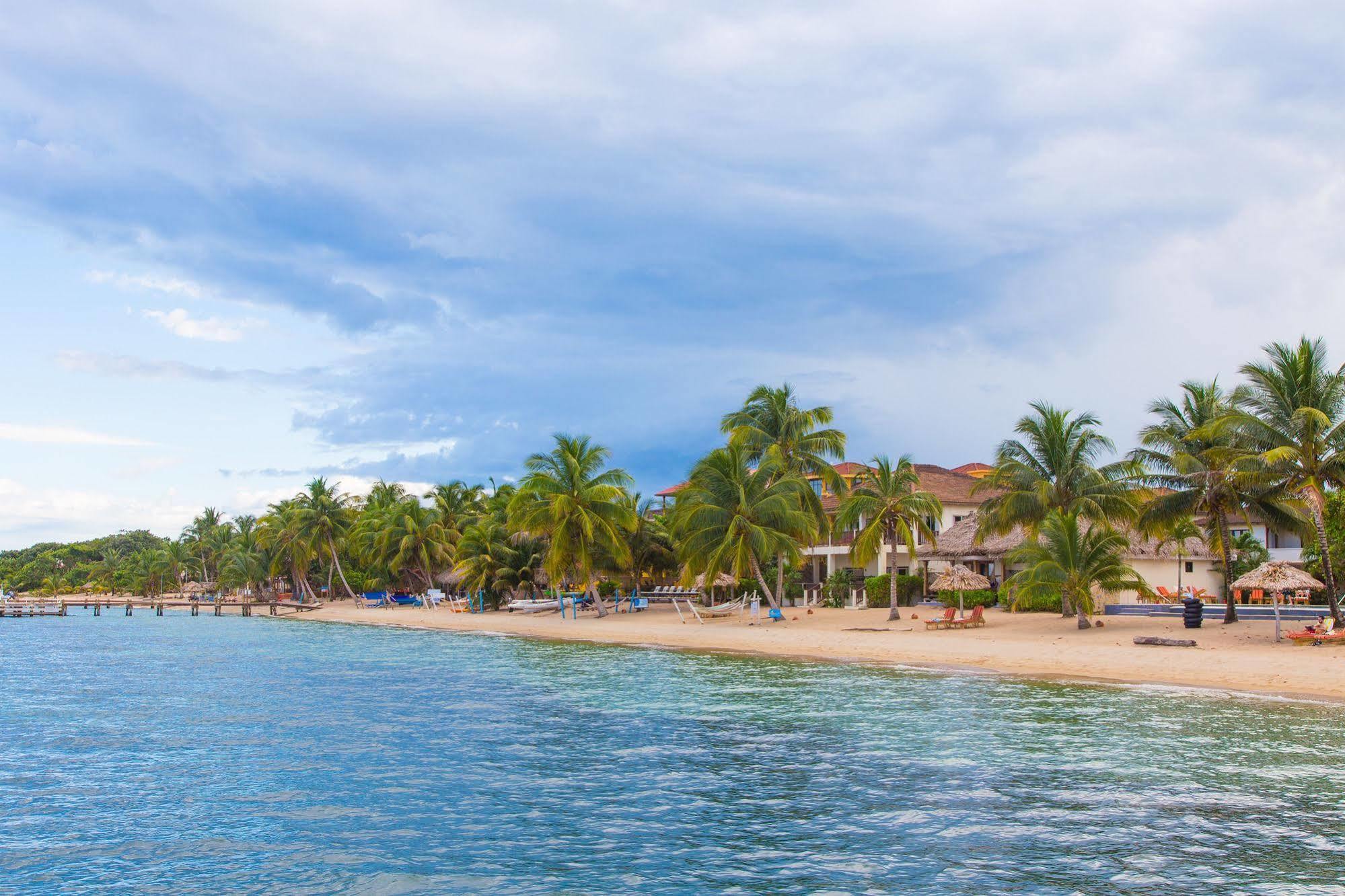 Almond Beach Resort At Jaguar Reef ホプキンズ エクステリア 写真